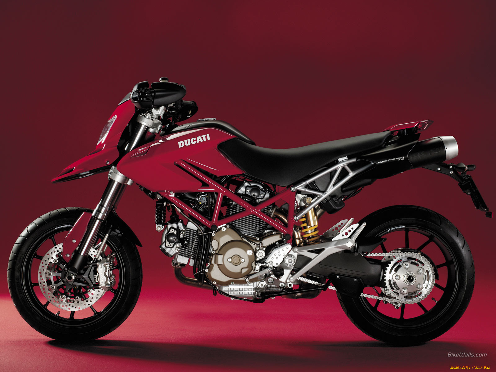 , ducati